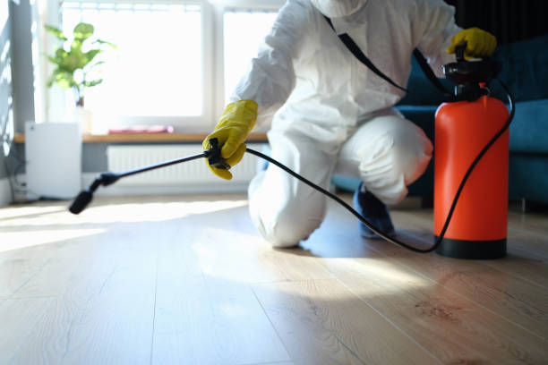 Reliable Hoarding Cleanup contractor in Stuart, VA by Dulley Family Biohazard Services